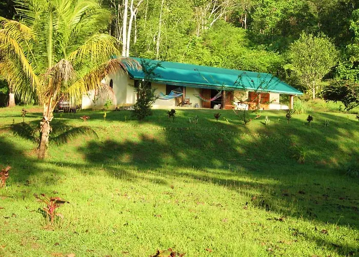 Jungle Retreat
