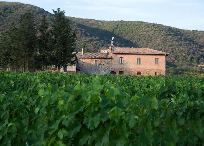 Luce di Vino
