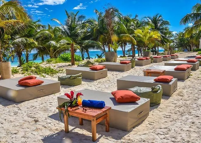 Pet Friendly hotel: Mia Tulum Beachfront Resort - Ocean View Suites And Beach Club