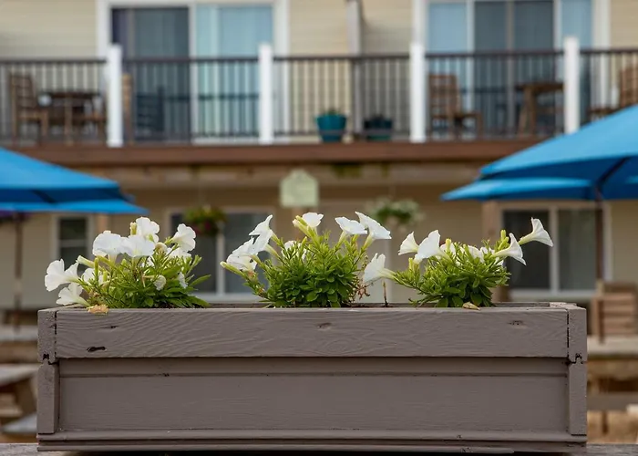 Aqualina Inn Montauk (Adults Only)