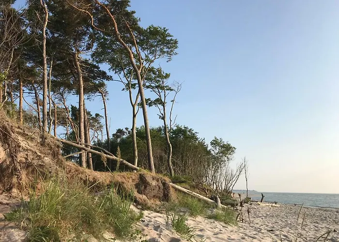 Backbord By Strandgut