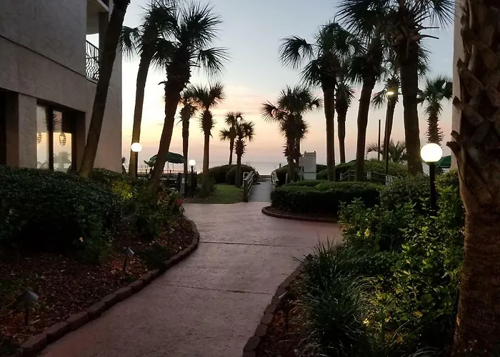 Hotel near College: The Palms Resort-Oceanfront