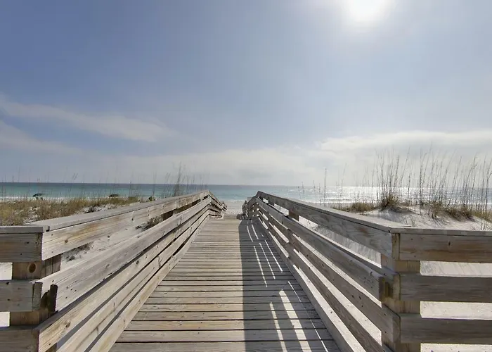Pets Allowed Hotel Emerald Isle
