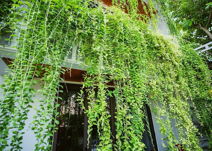Tue Tam Garden Villa