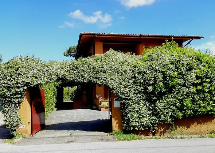 Il Gelsomino