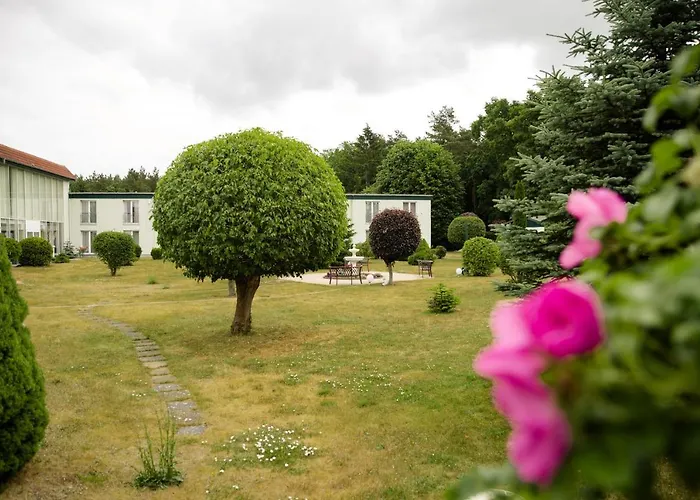 3 SterneHotel Waldidyll